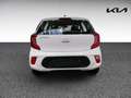 Kia Picanto ED 7 EU6d 1.0 KLIMA,DAB,SITZHZG,LENKRADHZG Weiß - thumbnail 5