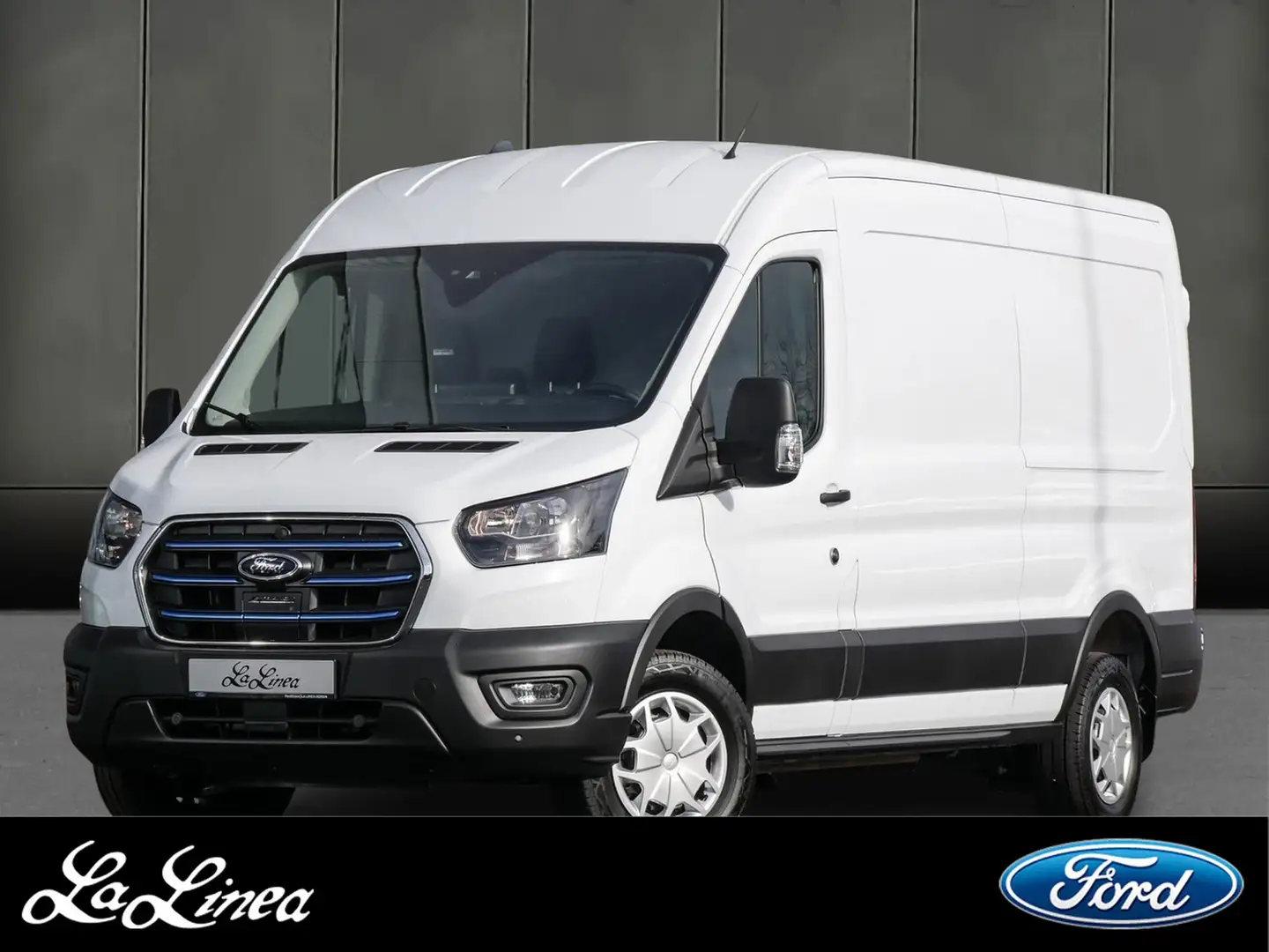 Ford Transit Kastenwagen Blanco - 1