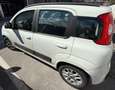 Fiat Panda 1.2 EasyPower LOUNGE x NEOPATENTATI Bianco - thumbnail 6