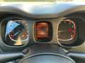 Fiat Panda 4x2 FireFly Hybrid 70 Panda Schwarz - thumbnail 11