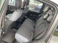 Fiat Panda 1.2 Easy s&s 69cv my19 Gris - thumbnail 9
