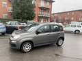 Fiat Panda 1.2 Easy s&s 69cv my19 Gris - thumbnail 6