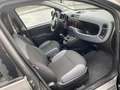 Fiat Panda 1.2 Easy s&s 69cv my19 Gris - thumbnail 10