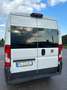 Fiat Ducato FIAT DUCATO 7 POSTI L2 H2 - thumbnail 4