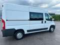Fiat Ducato FIAT DUCATO 7 POSTI L2 H2 - thumbnail 3