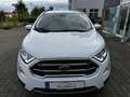 Ford EcoSport 1.0 EcoBoost Titanium Navi Winter.AHK Wit - thumbnail 7