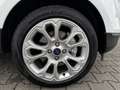 Ford EcoSport 1.0 EcoBoost Titanium Navi Winter.AHK Wit - thumbnail 19