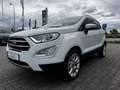 Ford EcoSport 1.0 EcoBoost Titanium Navi Winter.AHK Wit - thumbnail 6