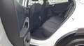 Ford Puma 1,0 EcoBoost Titanium Weiß - thumbnail 15
