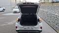 Ford Puma 1,0 EcoBoost Titanium Weiß - thumbnail 16