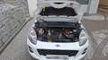 Ford Puma 1,0 EcoBoost Titanium Weiß - thumbnail 8