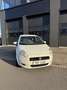 Fiat Punto 1.4 Edizione Lusso Biały - thumbnail 1