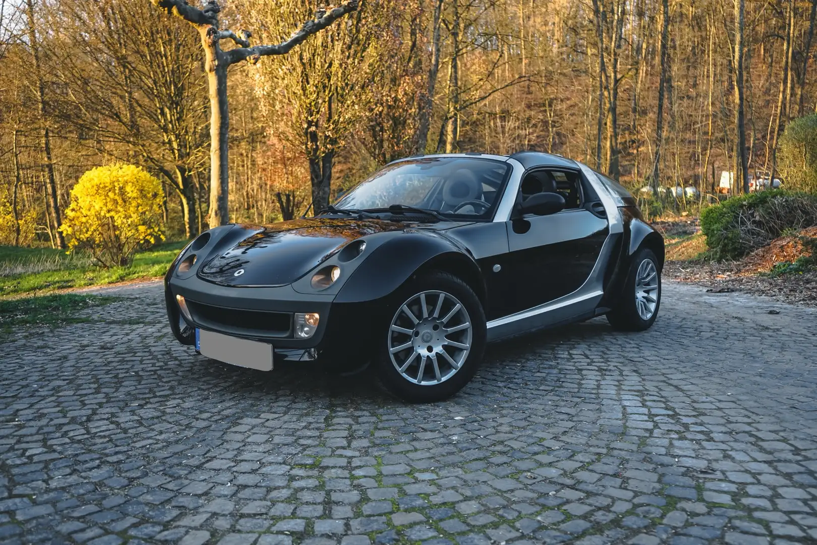 smart roadster roadster-coupe softtouch crna - 1