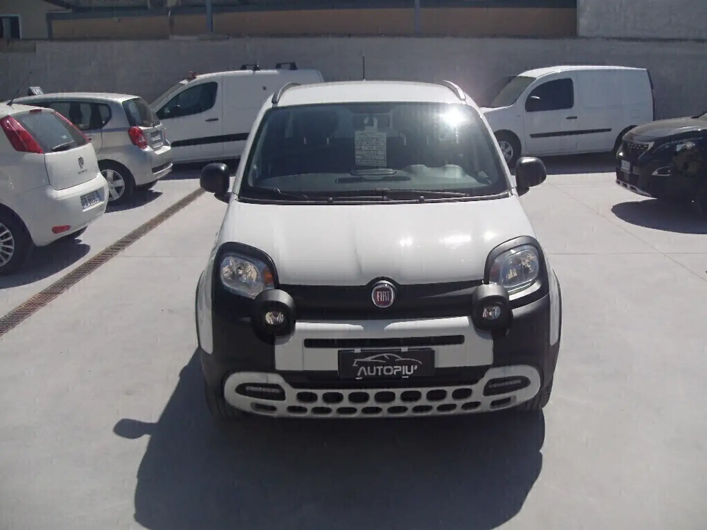 Fiat Panda Cross 1.0 FireFly S&S Hybrid Bianco - 2