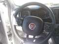 Fiat Panda Cross 1.0 FireFly S&S Hybrid Bianco - thumbnail 12