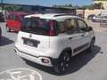 Fiat Panda Cross 1.0 FireFly S&S Hybrid Bianco - thumbnail 5