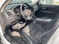 Volvo XC90 XC90 2.0 D4 7 POSTI GEARTRONIC Bianco - thumbnail 13