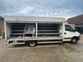 Iveco Daily 40c 35 Wit - thumbnail 7