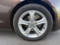 Audi A5 Ambition Luxe Multitronic A Braun - thumbnail 9