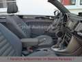 Volkswagen Beetle 2.0TSI DSG DUNE Leder Fender DAB ! VOLL ! Gris - thumbnail 18