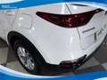 Kia Sportage 1.6 CRDI MHEV 136cv 2WD Concept EU6 Bianco - thumbnail 14