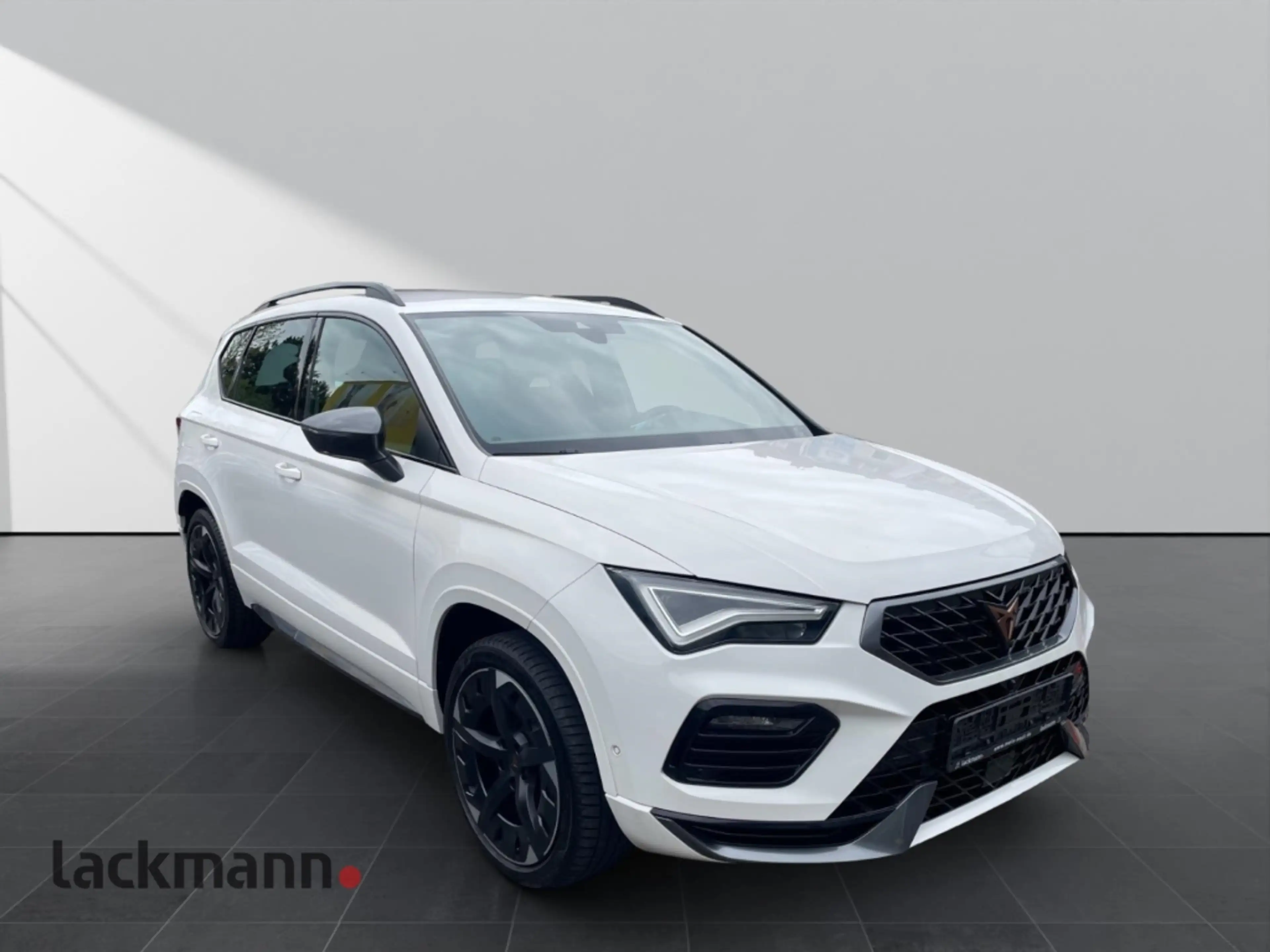 CUPRA Ateca 4 Drive*AHK*Beats*Shz*eHeck*Business-Paket* — photo 4