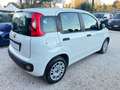 Fiat Panda 1.2 Lounge *76000KM* NEOPATENTATI Bianco - thumbnail 6