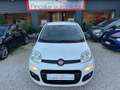 Fiat Panda 1.2 Lounge *76000KM* NEOPATENTATI Bianco - thumbnail 2