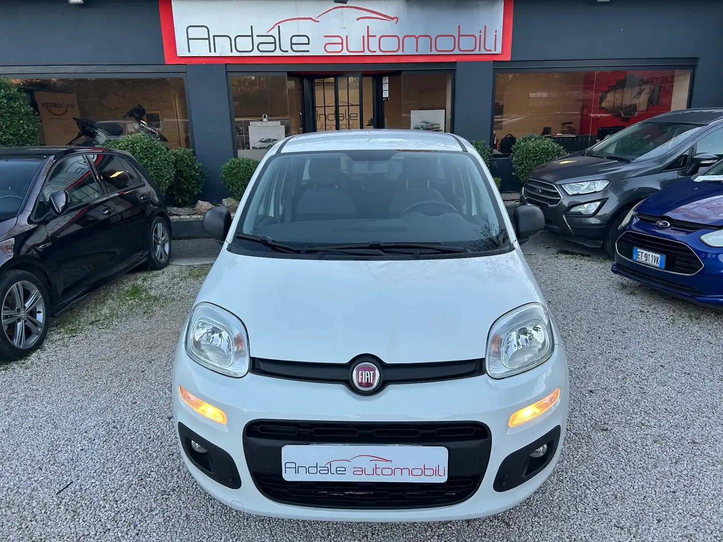 Fiat Panda 1.2 Lounge *76000KM* NEOPATENTATI Bianco - 2