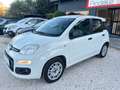 Fiat Panda 1.2 Lounge *76000KM* NEOPATENTATI Bianco - thumbnail 3