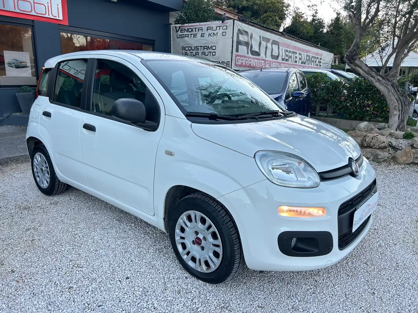 Fiat Panda 1.2 Lounge *76000KM* NEOPATENTATI Bianco - 1