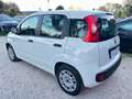 Fiat Panda 1.2 Lounge *76000KM* NEOPATENTATI Bianco - thumbnail 4
