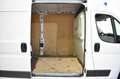 Fiat Ducato FURGÓN 3.5T L3H2 2.2 MULTIJET 140 CV EDITI Weiß - thumbnail 12