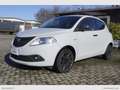 Lancia Ypsilon 1.2 69 CV 5 Posti GPL Ecochic Ele.Bl Gris - thumbnail 1