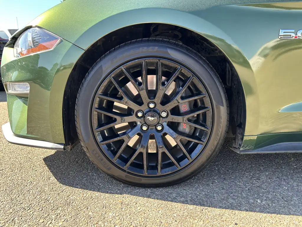 2022 Ford Mustang Fastback GT | Performace Pkg | Rear Cam | Parking Sensors — photo 3