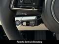 Porsche Panamera 4 E-Hybrid Grau - thumbnail 30