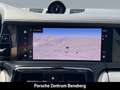 Porsche Panamera 4 E-Hybrid Grau - thumbnail 22
