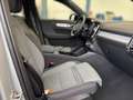 Volvo XC40 Plus Dark B3 Mild Hybrid Benzin Grau - thumbnail 5