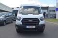 Ford Transit (€19.000 exBTW) L3H2 2.0 EcoBlue EUR6d GARANTIE Blanc - thumbnail 3