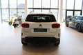 Citroen C5 Aircross Shine Hybrid PHEV 225 e-EAT8 **Tolle Ausstattung** Weiß - thumbnail 6