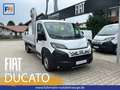 Fiat Ducato PRITSCHE MAXI 35 L4 180MT Weiß - thumbnail 1