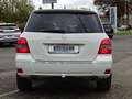 Mercedes-Benz GLK 220 GLK 220 CDI BlueEfficiency 4Matic (204.984) Weiß - thumbnail 5