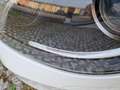 Mercedes-Benz B 200 Ngd Premium / Xeno / 17" / Telecamera Blanc - thumbnail 17