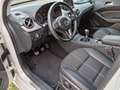 Mercedes-Benz B 200 Ngd Premium / Xeno / 17" / Telecamera Bianco - thumbnail 3