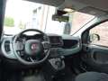 Fiat Panda Cross 1.0 Hybrid 70pk H6 | VERHOOGDE INSTAP | APPL Negro - thumbnail 15