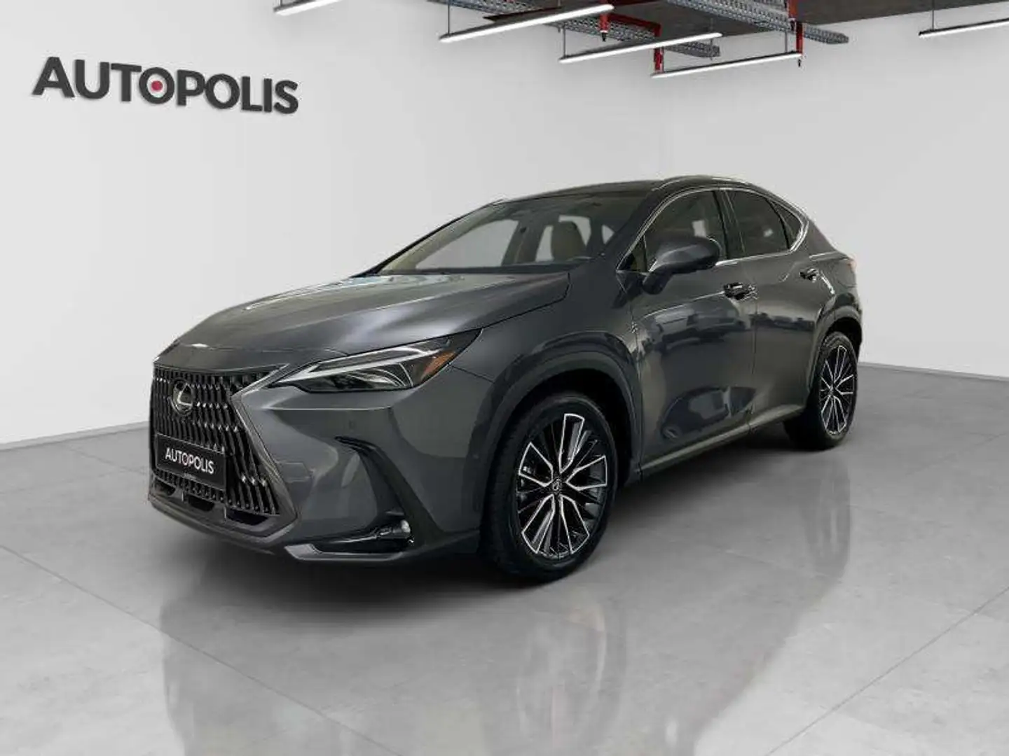 Lexus NX 350h 2.5 Gris - 1