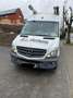 Mercedes-Benz Sprinter Wit - thumbnail 4