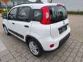 Fiat Panda Panda 1.0 GSE Hybrid City Life/38 Tkm/Sitzhzg+PDC Blanc - thumbnail 14