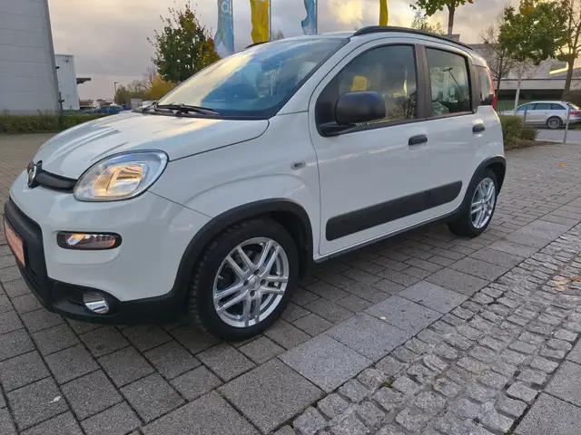 Fiat Panda Panda 1.0 GSE Hybrid City Life/38 Tkm/Sitzhzg+PDC