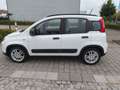 Fiat Panda Panda 1.0 GSE Hybrid City Life/38 Tkm/Sitzhzg+PDC Blanc - thumbnail 15